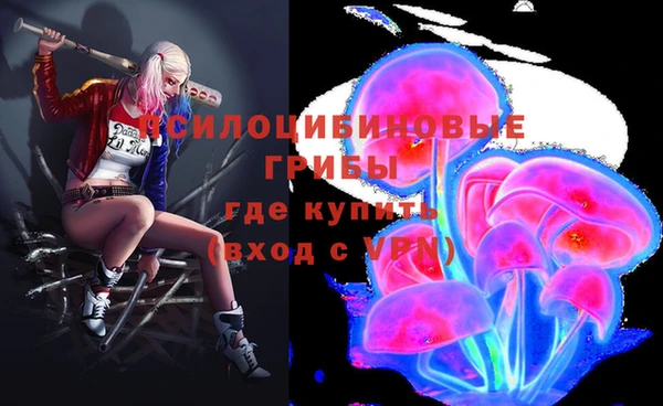 прущие крисы Ладушкин