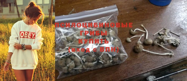 кристаллы Липки