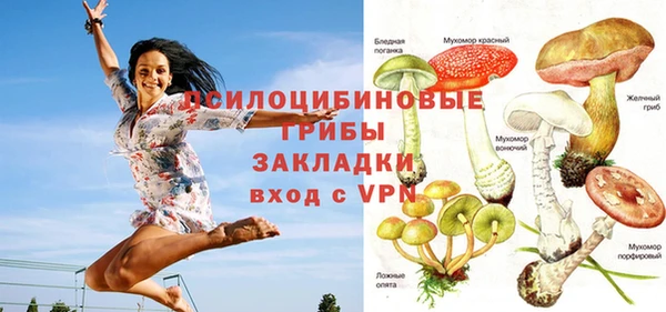 кристаллы Липки