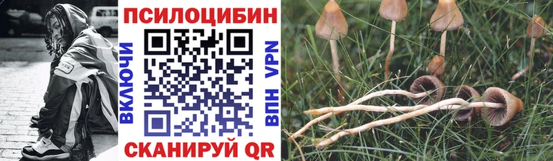 Псилоцибиновые грибы Magic Shrooms  Чекалин 